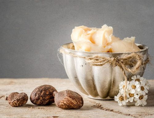 O que é manteiga de cupuaçu e seus benefícios